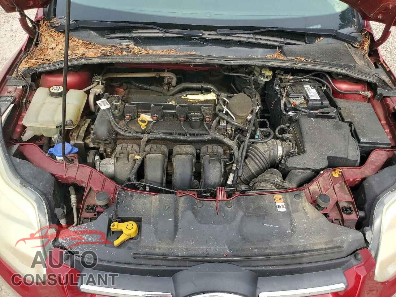 FORD FOCUS 2014 - 1FADP3F28EL367649