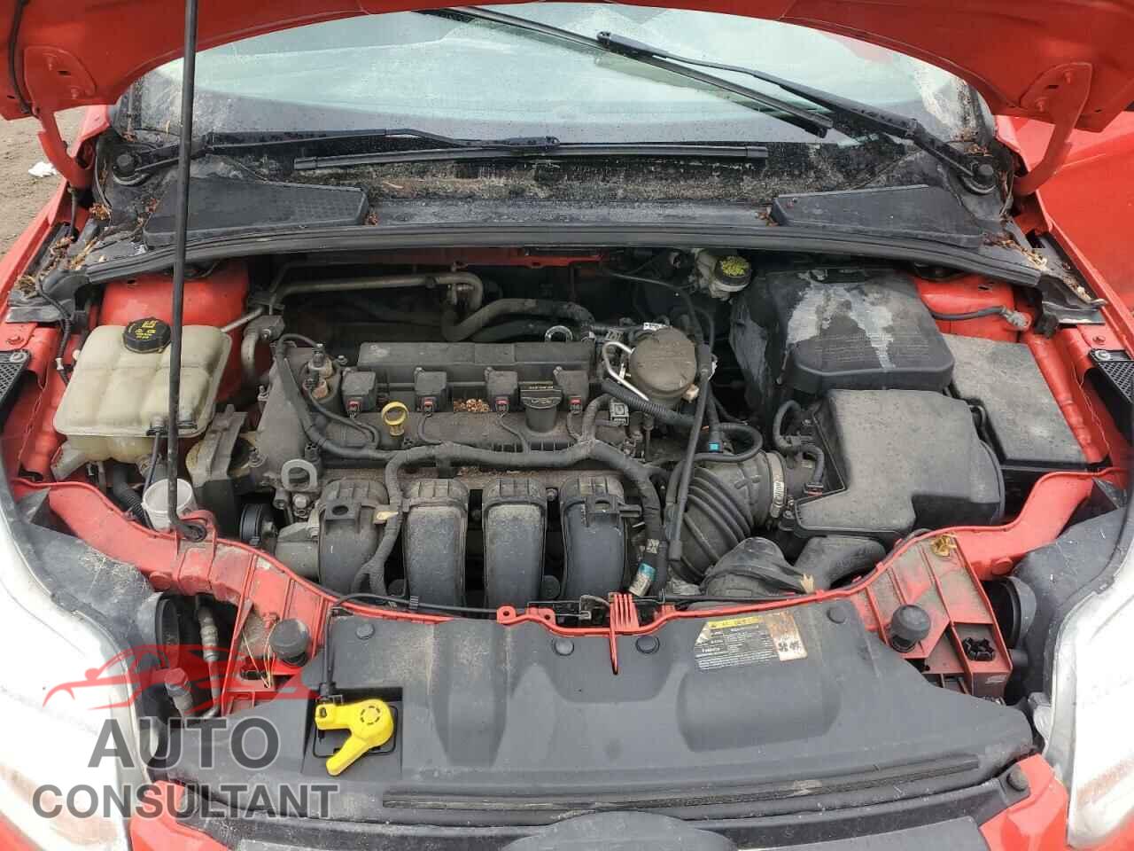 FORD FOCUS 2014 - 1FADP3K22EL167825