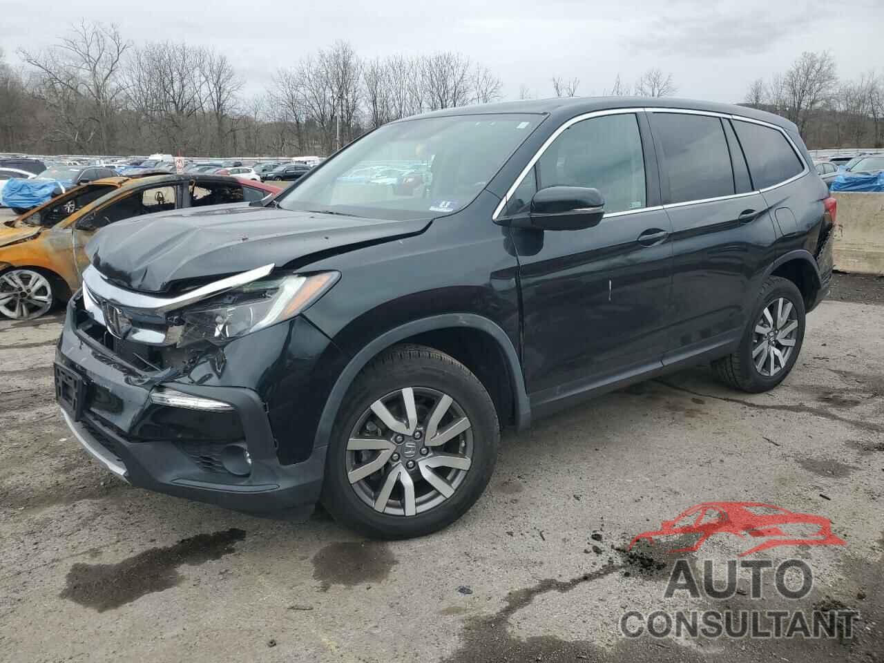 HONDA PILOT 2019 - 5FNYF6H52KB041335