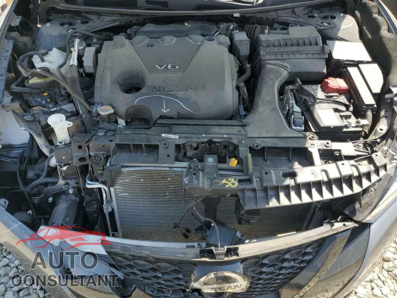 NISSAN MAXIMA 2021 - 1N4AA6EV2MC511602