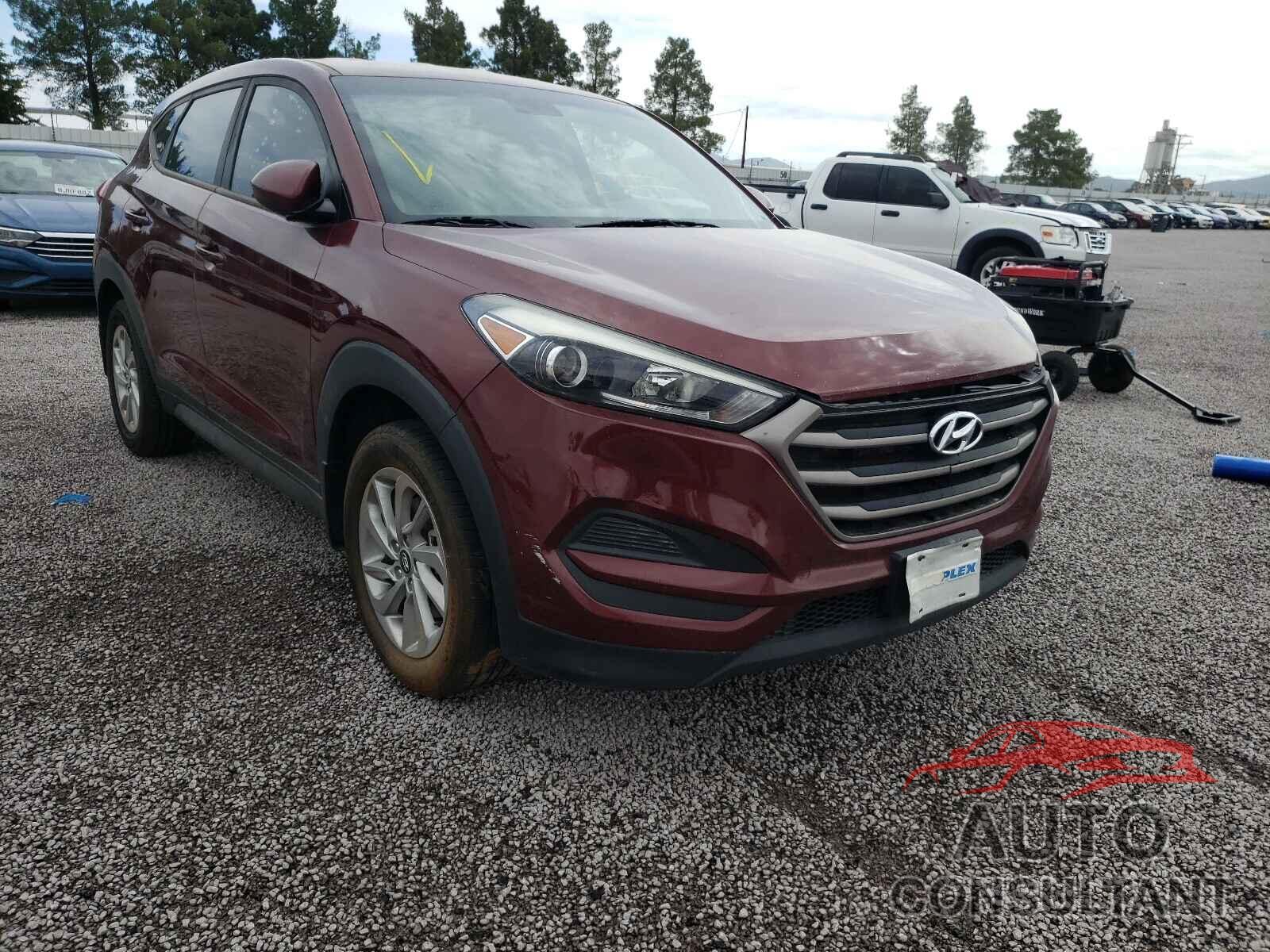 HYUNDAI TUCSON 2016 - KM8J23A40GU203552