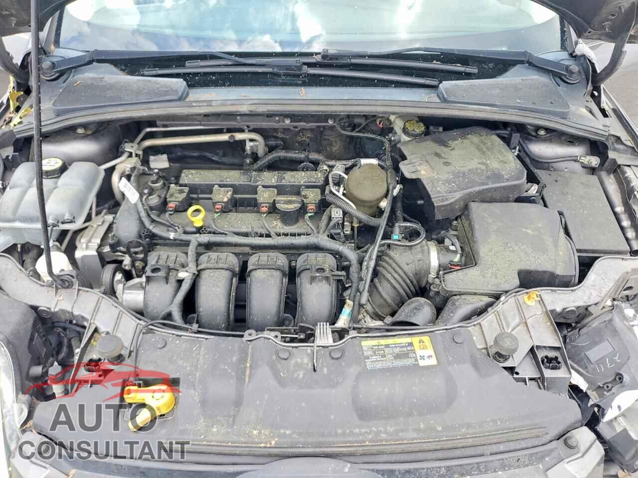 FORD FOCUS 2013 - 1FADP3F23DL330118