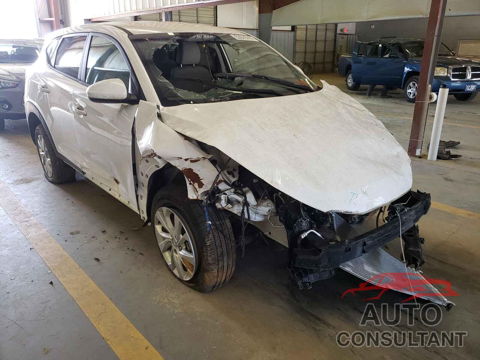 HYUNDAI TUCSON 2019 - KM8J23A42KU885049