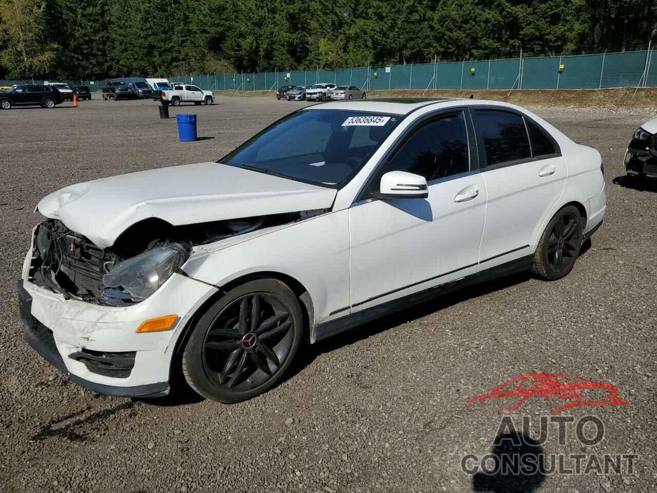 MERCEDES-BENZ C-CLASS 2013 - WDDGF4HB5DA766824