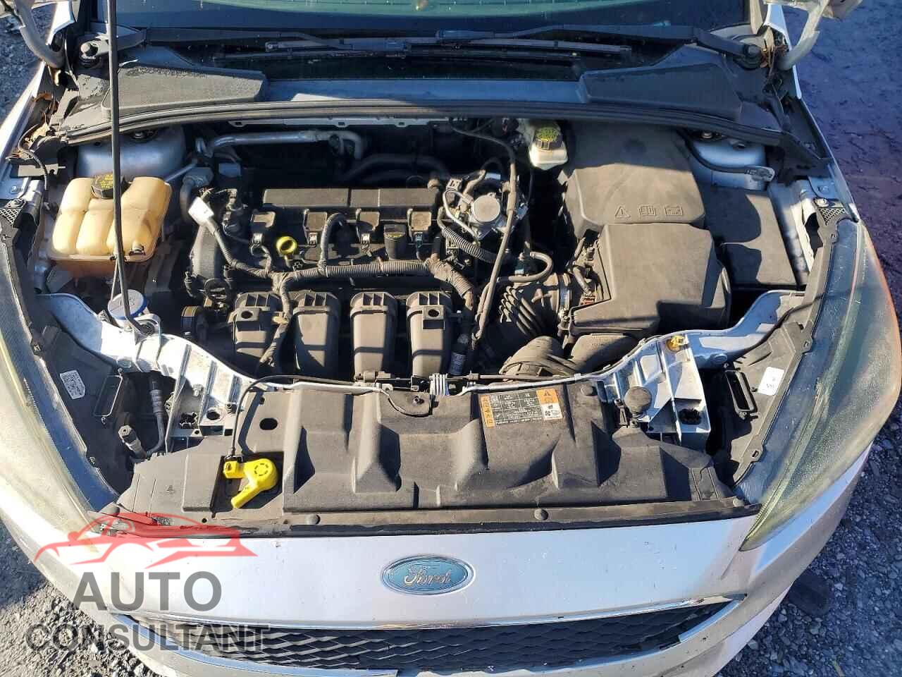 FORD FOCUS 2017 - 1FADP3H21HL248505