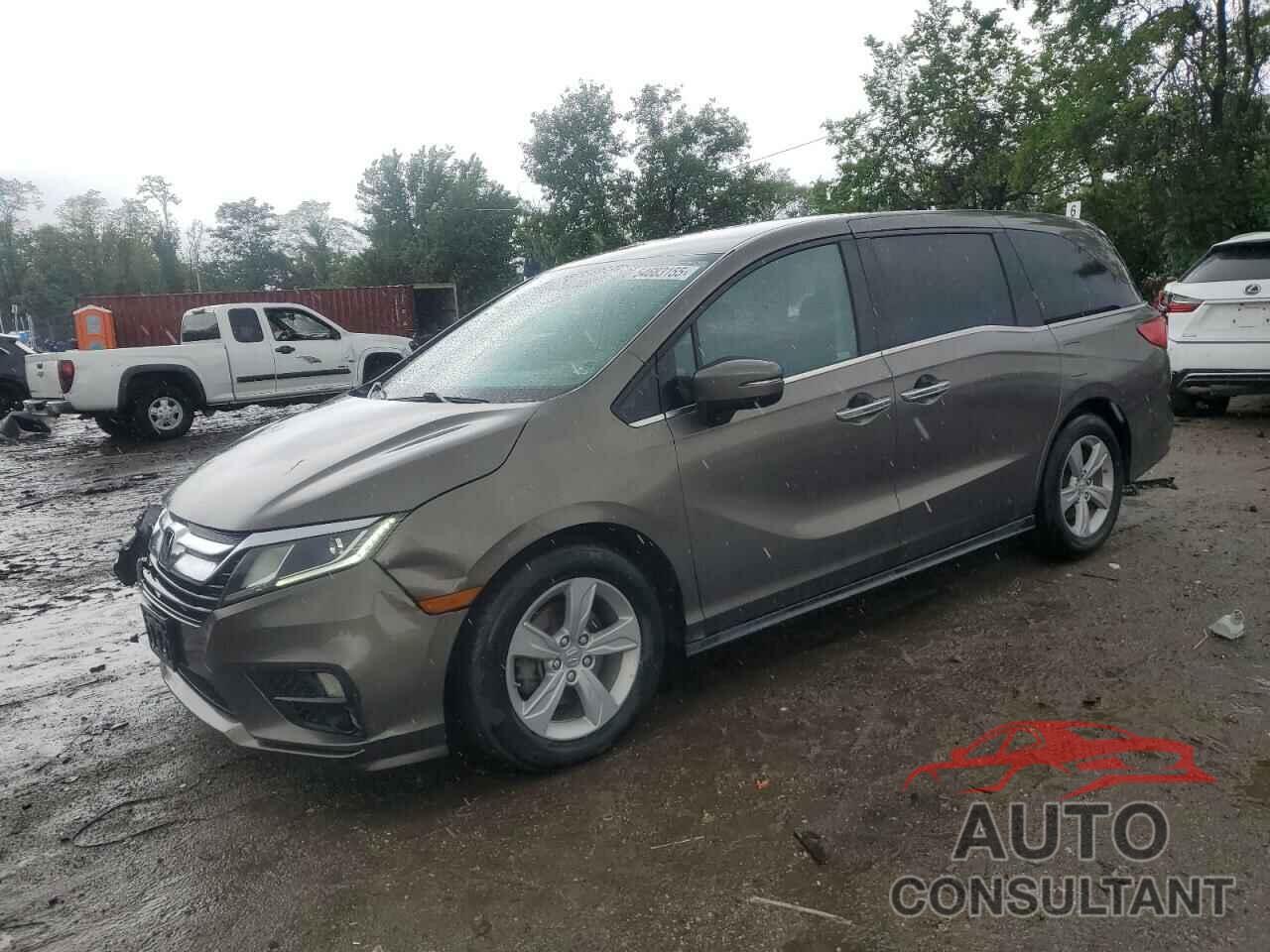 HONDA All Models 2019 - 5FNRL6H59KB131997