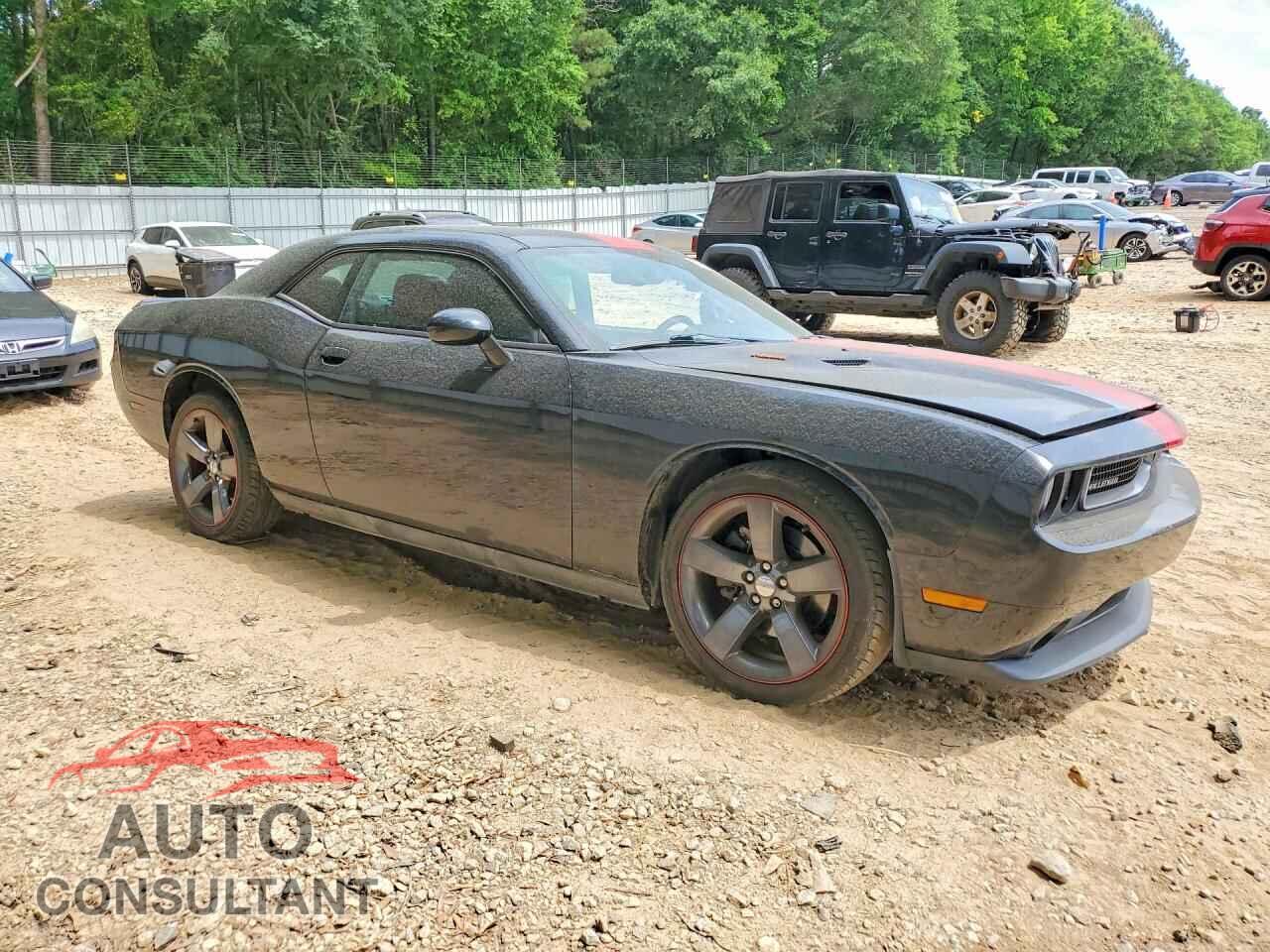 DODGE CHALLENGER 2013 - 2C3CDYAG3DH708759