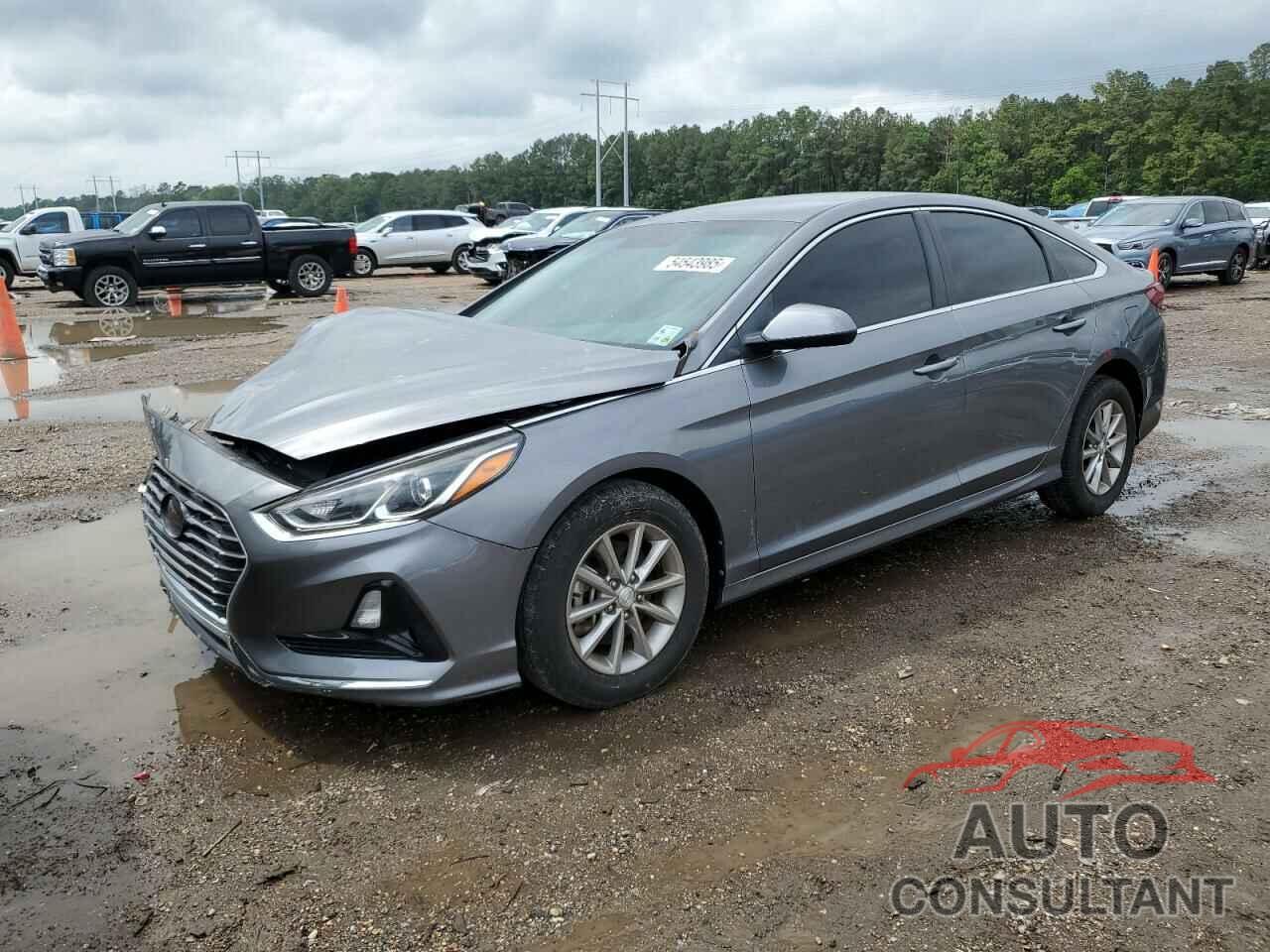 HYUNDAI SONATA 2019 - 5NPE24AF0KH744780