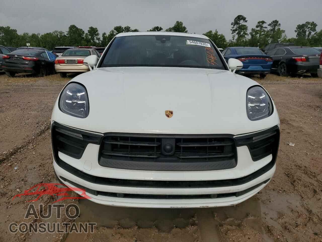 PORSCHE MACAN BASE 2025 - WP1AA2A50SLB02308