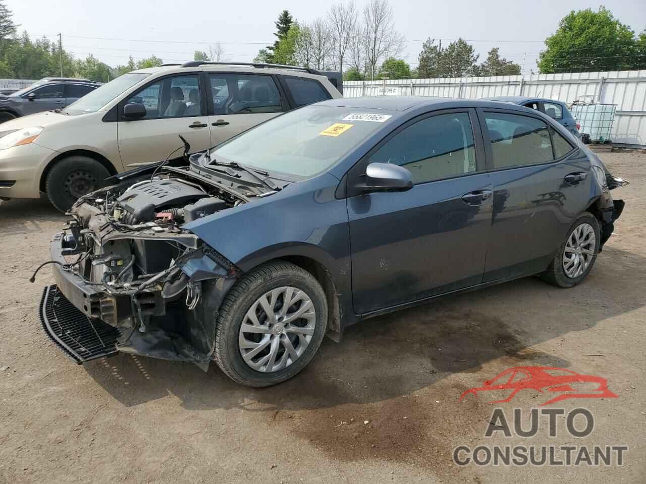 TOYOTA COROLLA 2017 - 2T1BURHEXHC888517