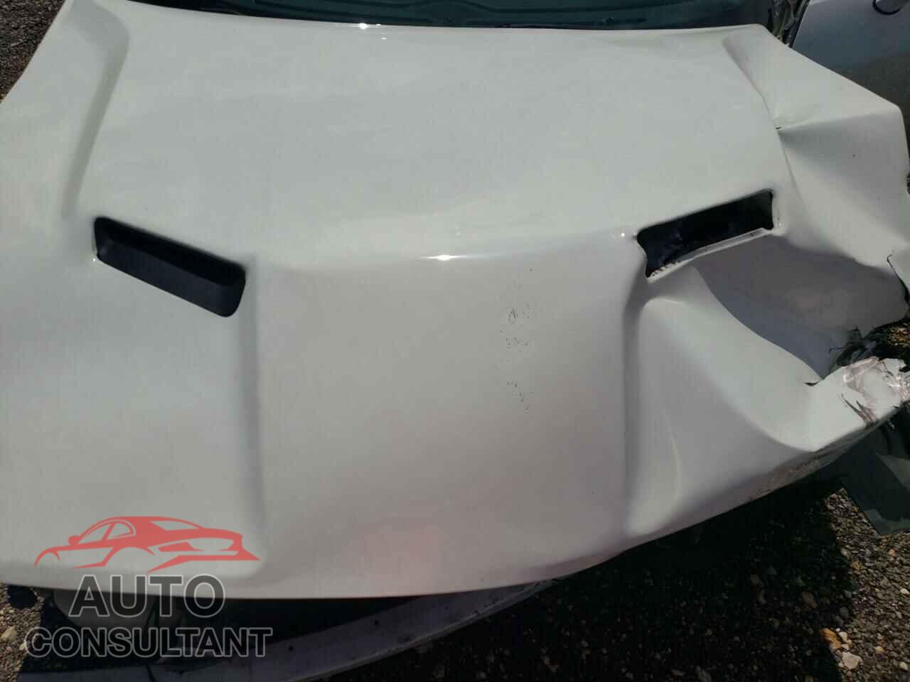 DODGE CHALLENGER 2019 - 2C3CDZAG2KH668662