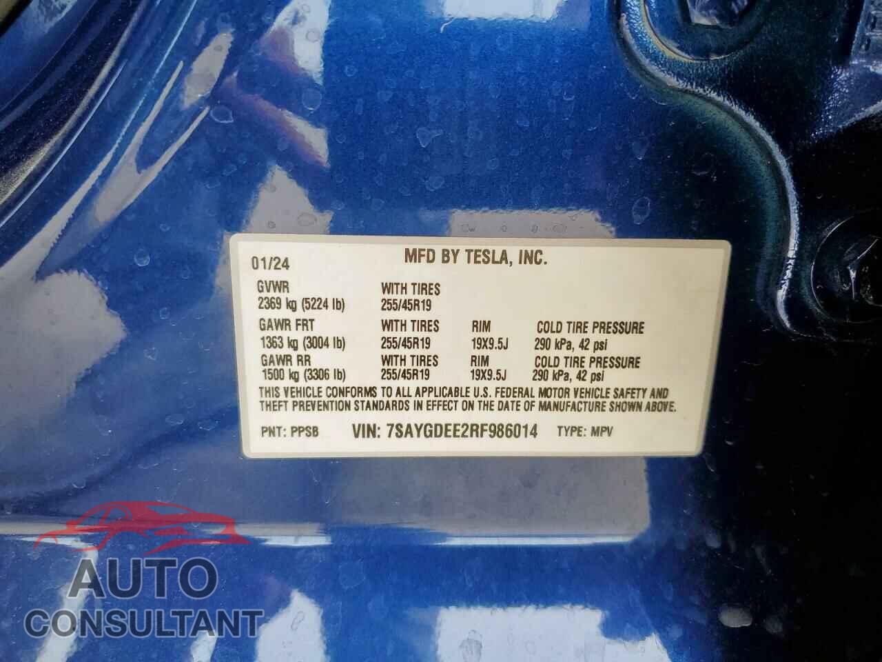 TESLA MODEL Y 2024 - 7SAYGDEE2RF986014