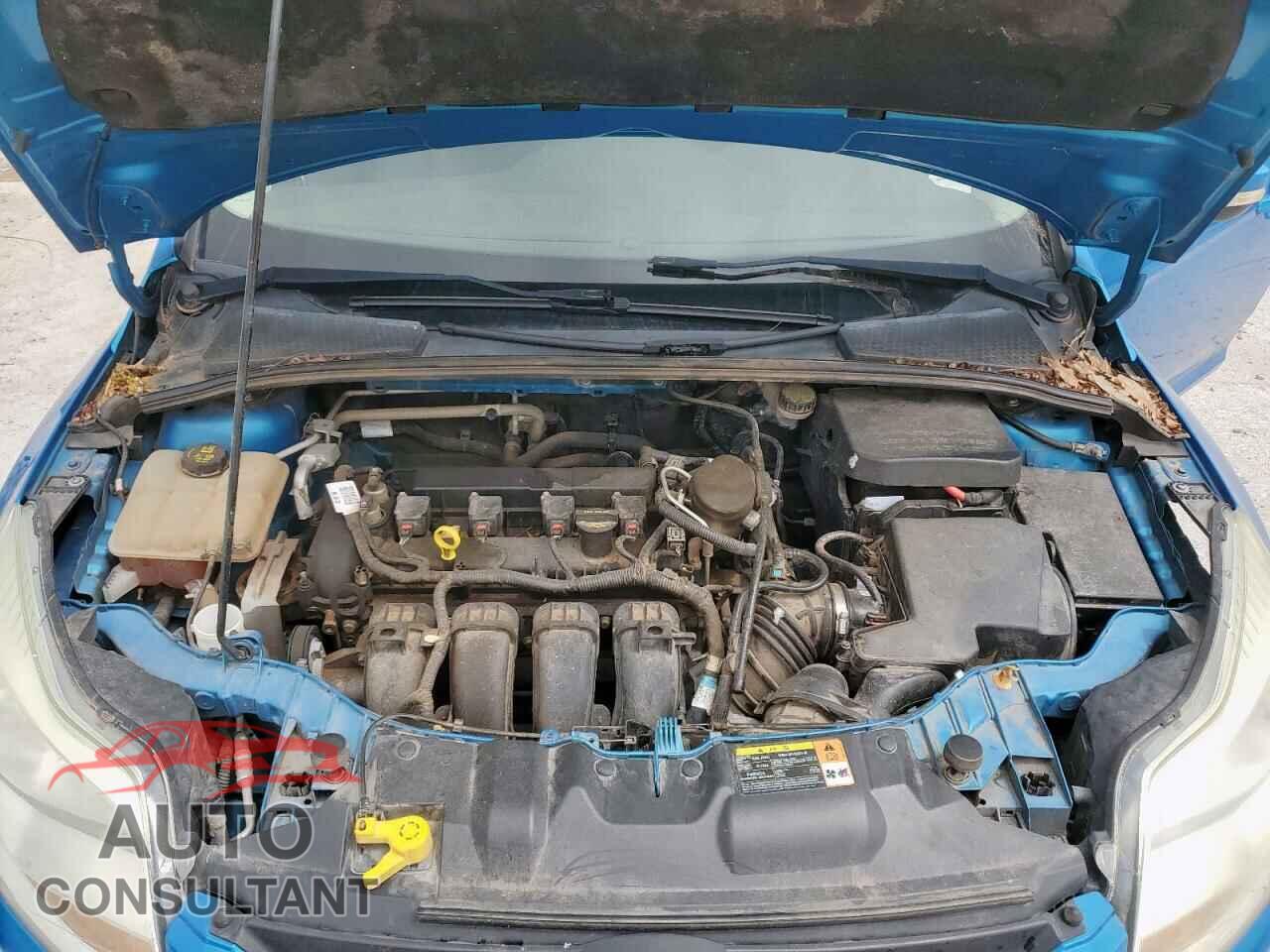 FORD FOCUS 2014 - 1FADP3F24EL229204