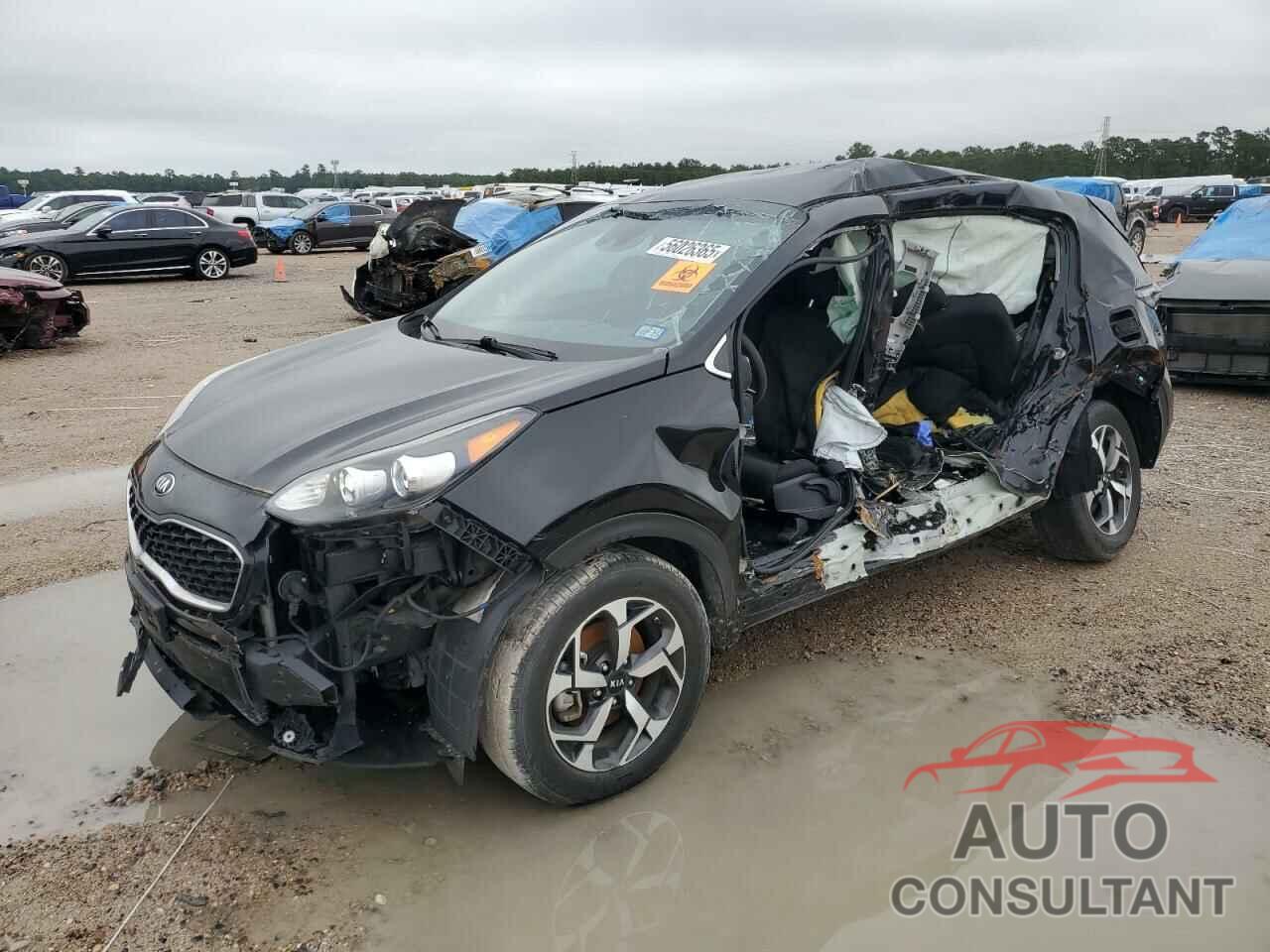 KIA SPORTAGE 2021 - KNDPM3AC5M7941910