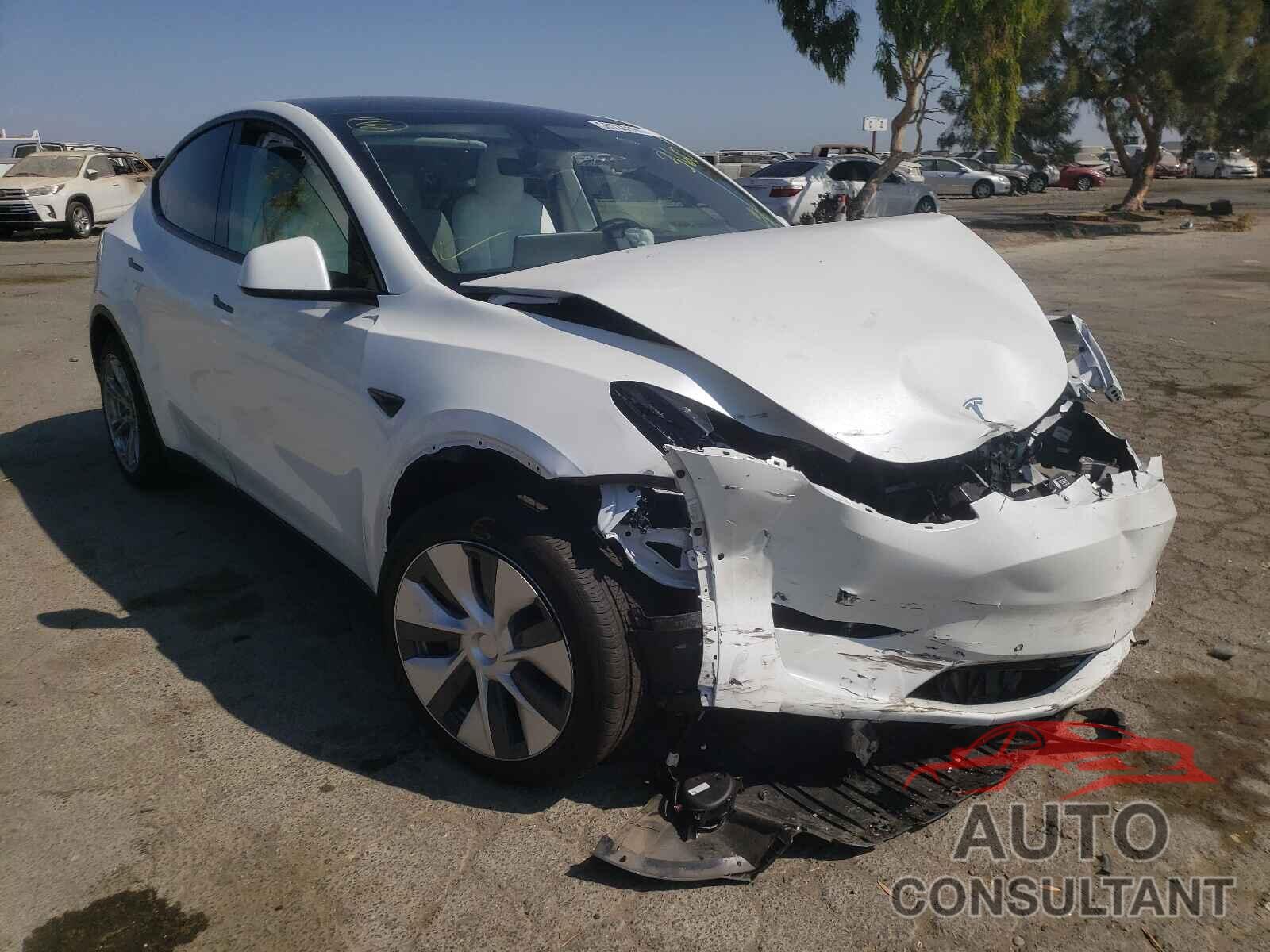 TESLA MODEL Y 2021 - 5YJYGDEE8MF061307