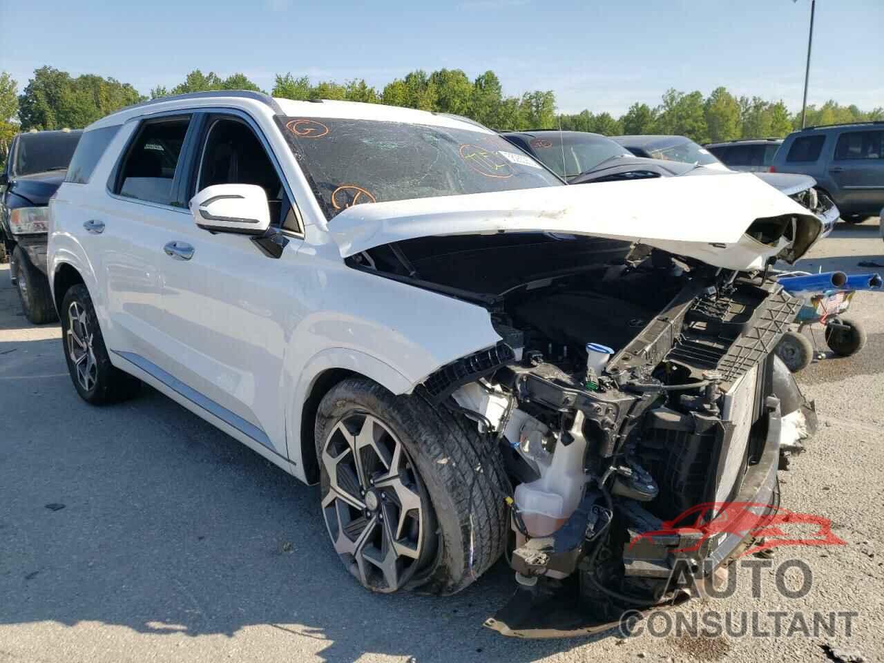 HYUNDAI PALISADE 2022 - KM8R7DHE6NU466618