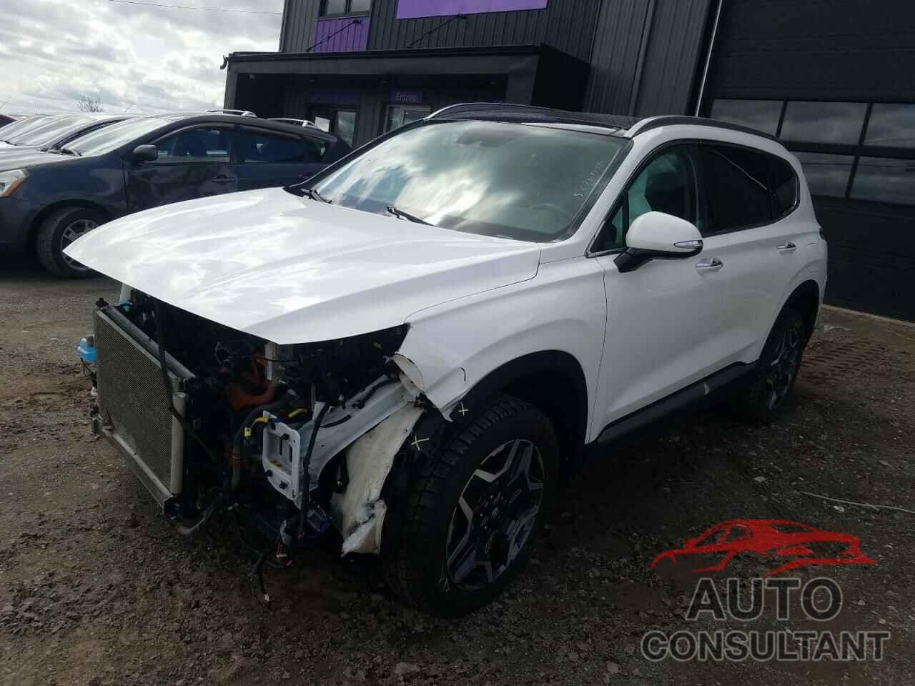 HYUNDAI SANTA FE 2022 - KM8S7DA24NU044736