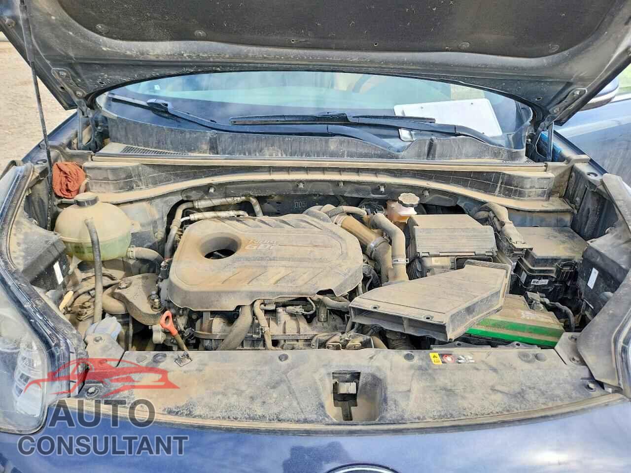 KIA SPORTAGE 2017 - KNDPRCA62H7171277