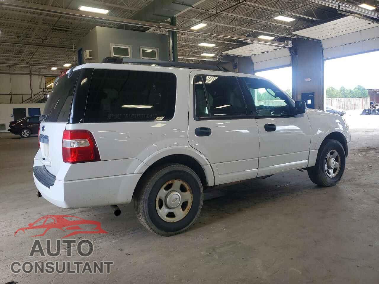 FORD EXPEDITION 2009 - 1FMFU16529EA71087