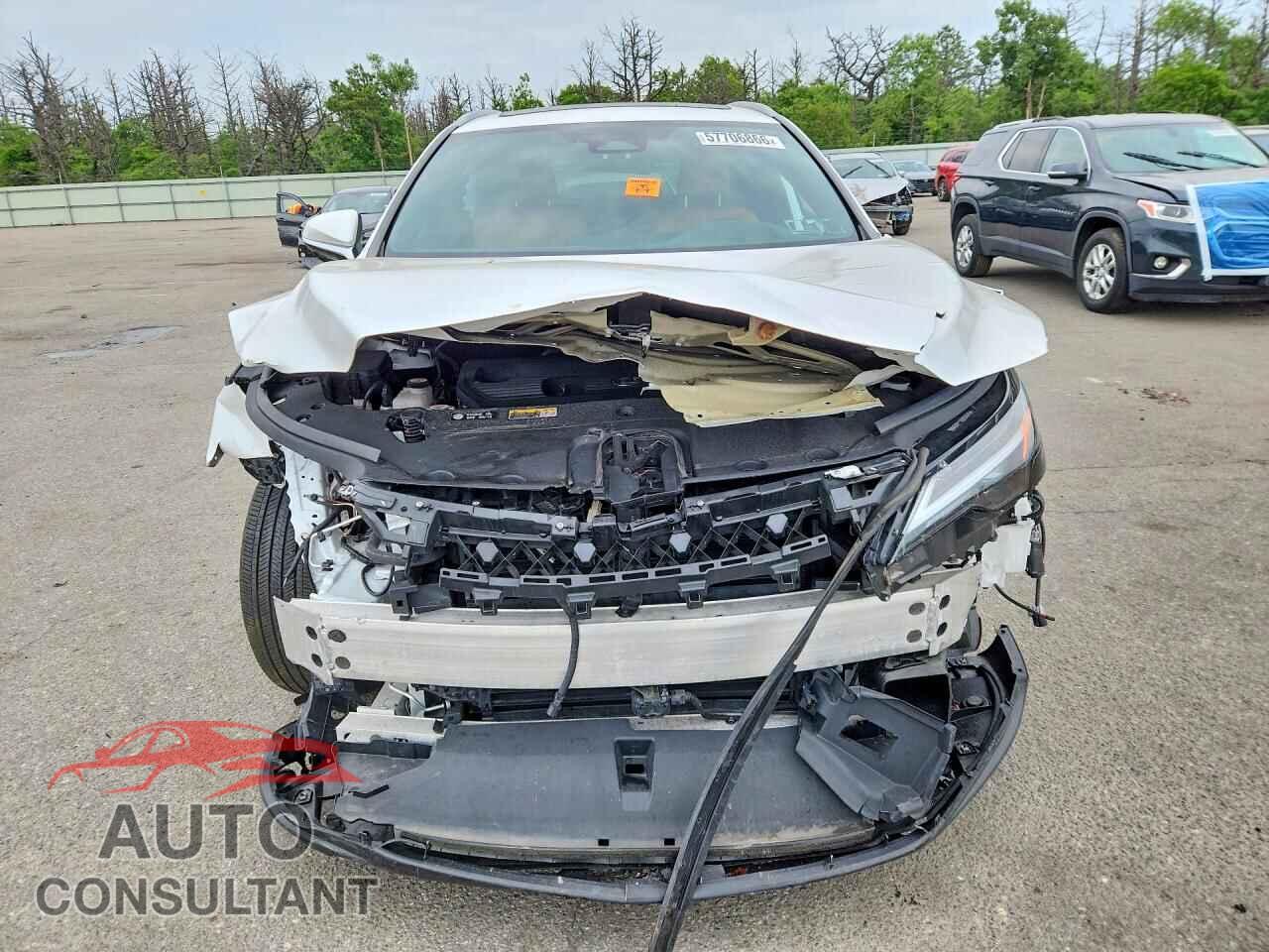 LEXUS UNKNOWN 2024 - 2T2BBMCA1RC024885