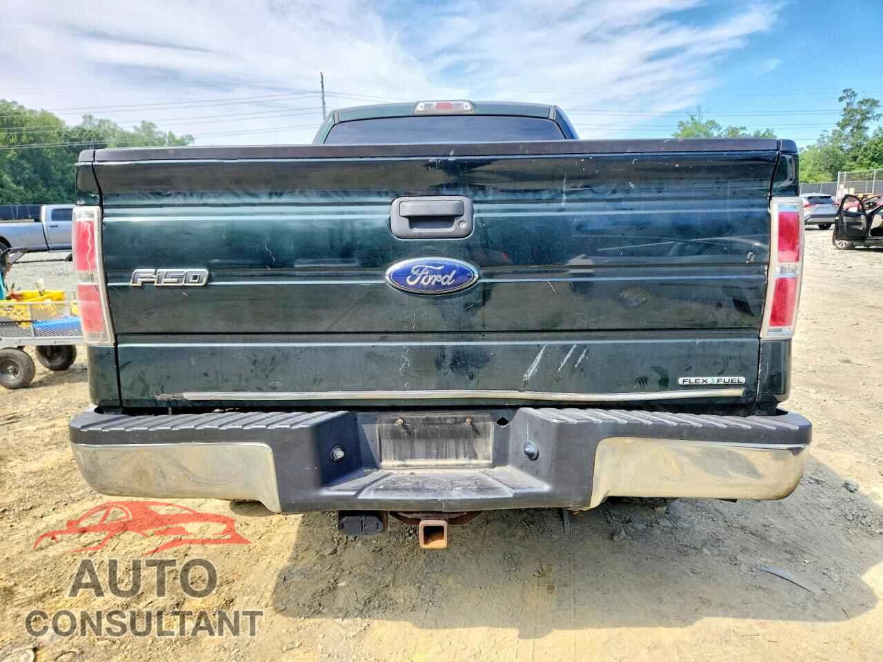 FORD F150 2013 - 1FTFX1CF5DFC95904