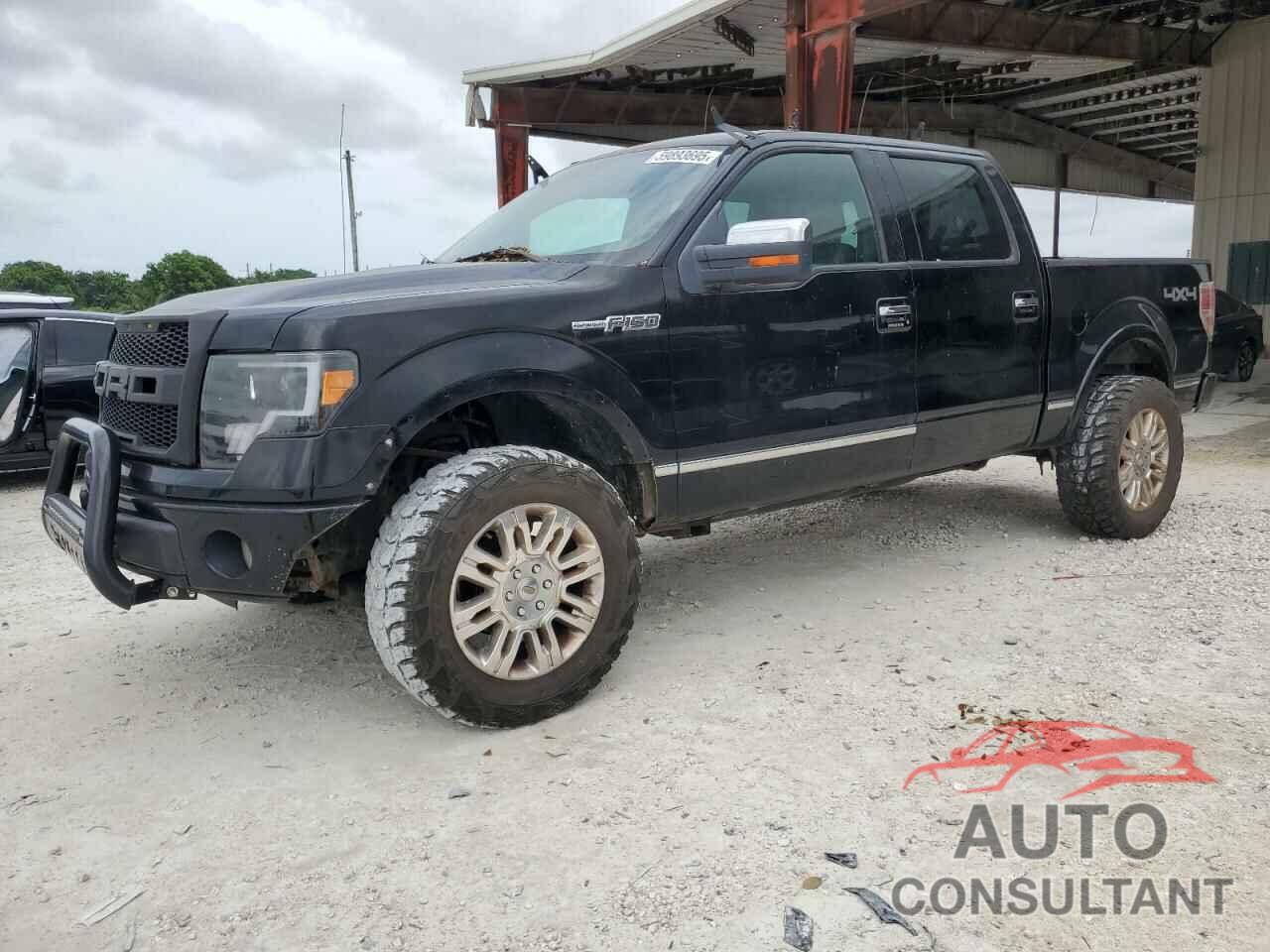 FORD F-150 2009 - 1FTPW14V59FA52131