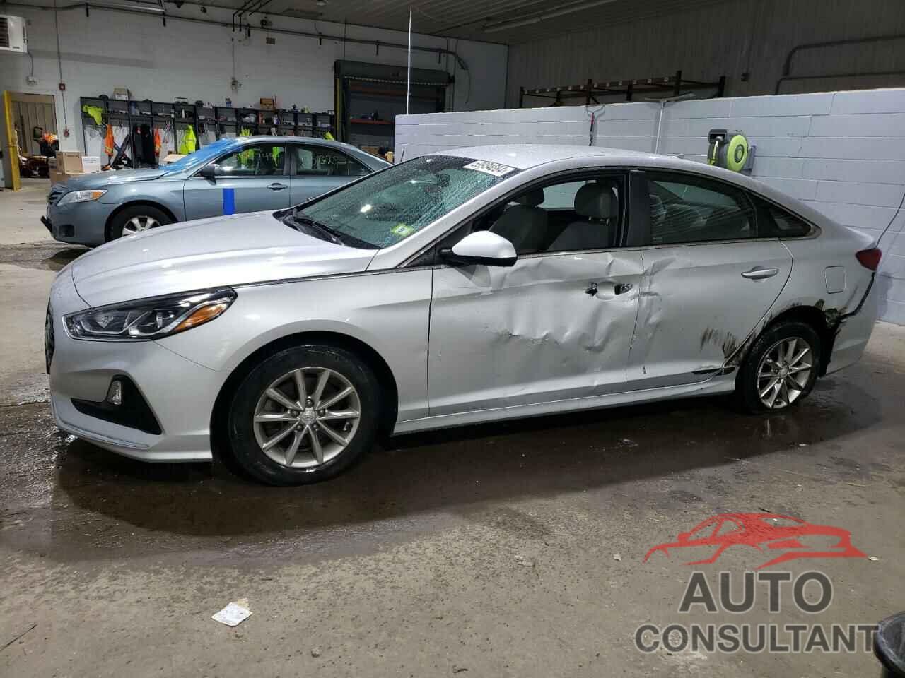 HYUNDAI SONATA 2019 - 5NPE24AF7KH816994