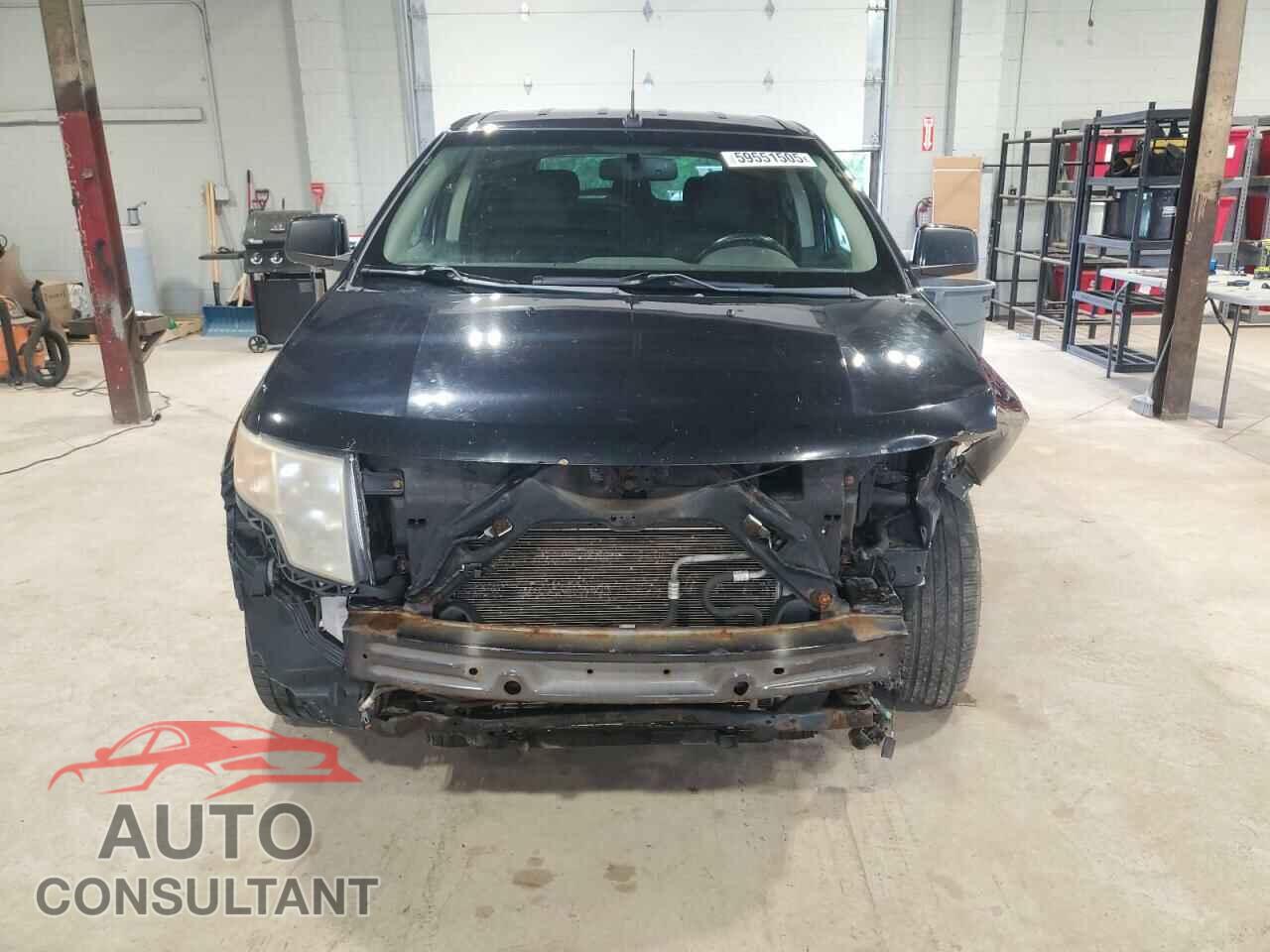 FORD EDGE 2009 - 2FMDK48C59BA51471