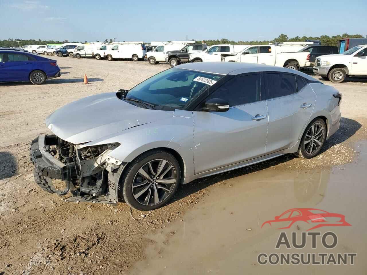 NISSAN MAXIMA 2022 - 1N4AA6CV3NC503318