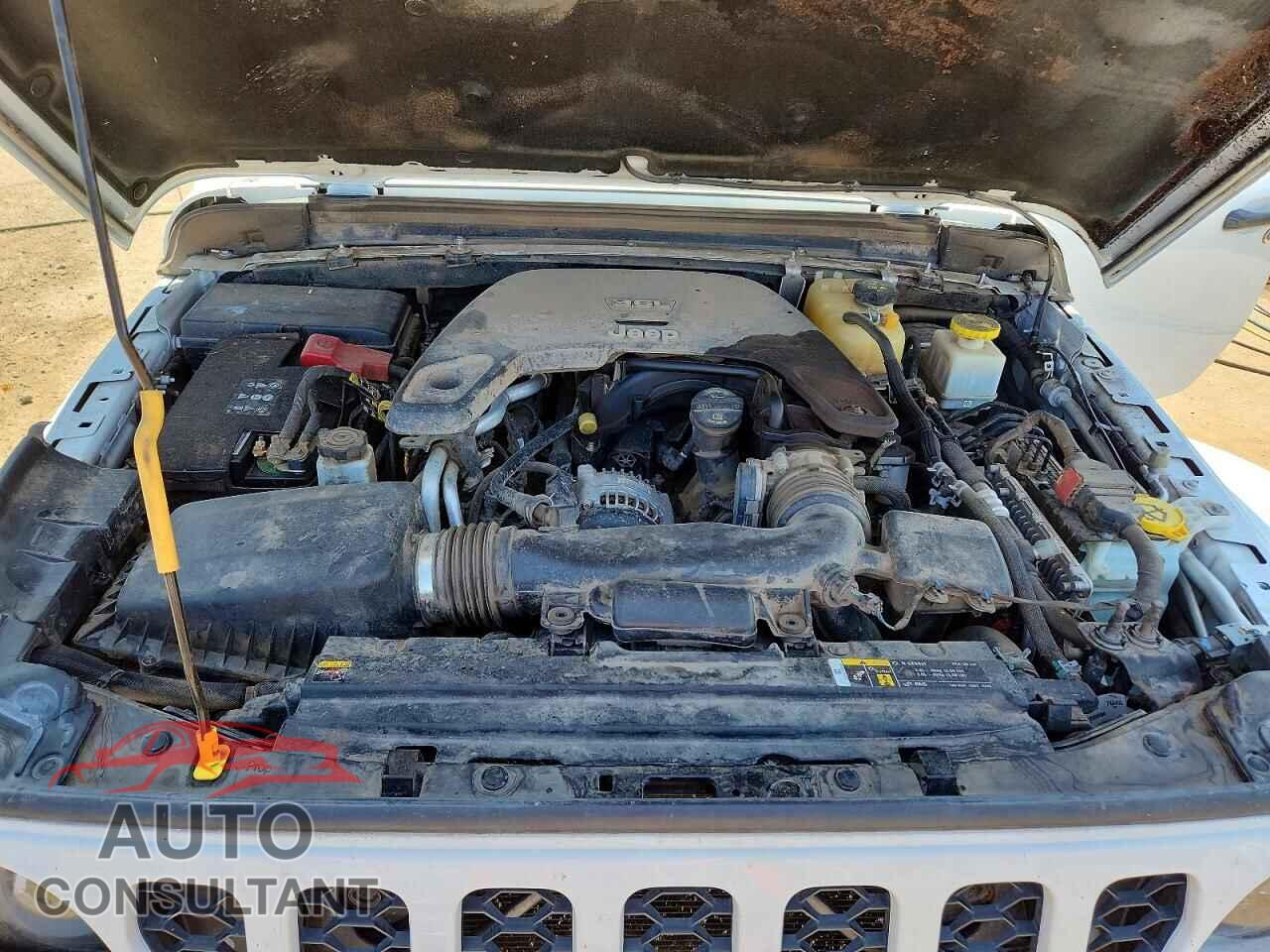 JEEP GLADIATOR 2021 - 1C6JJTAG3ML511471