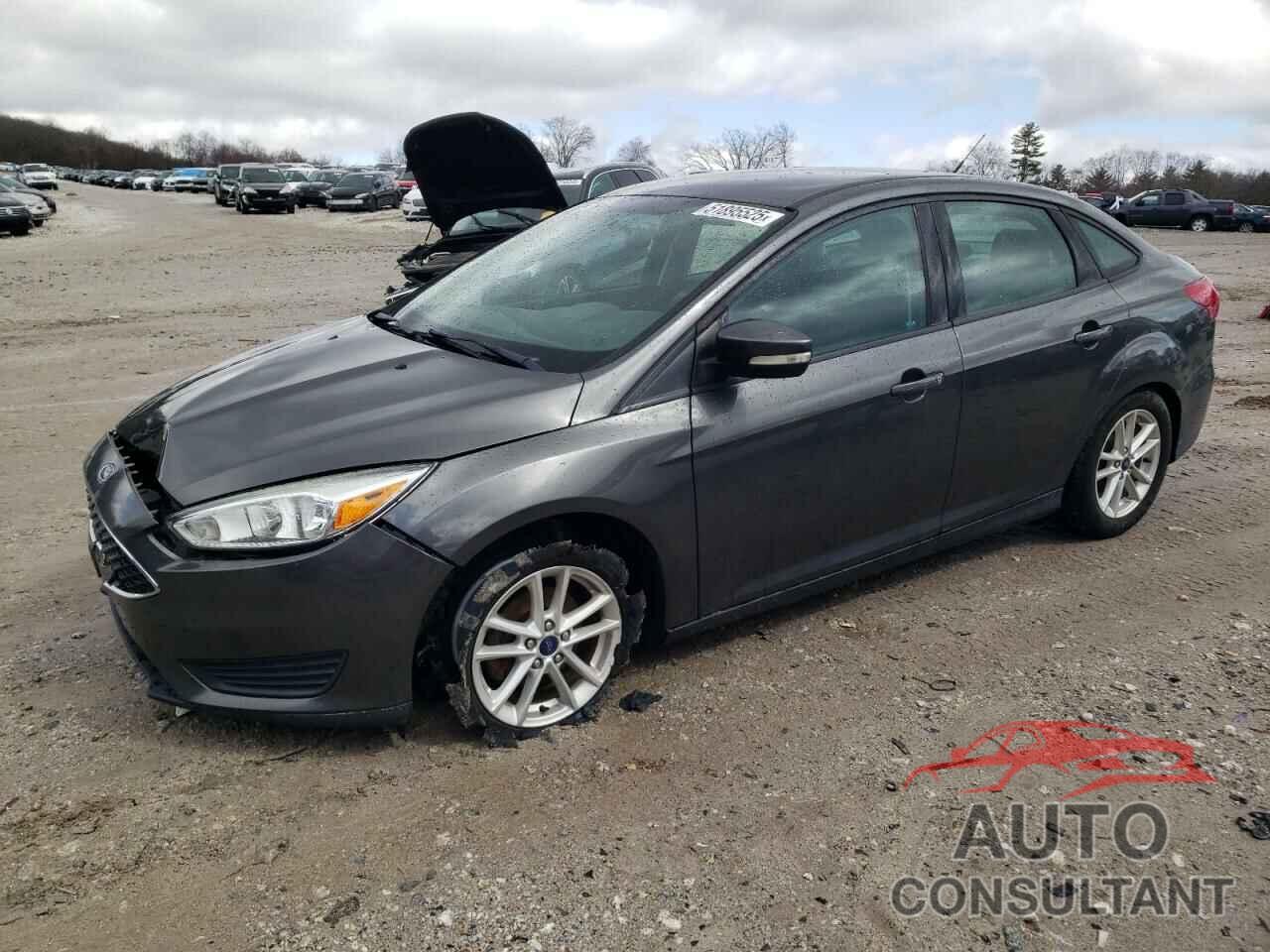 FORD FOCUS 2016 - 1FADP3F2XGL296327