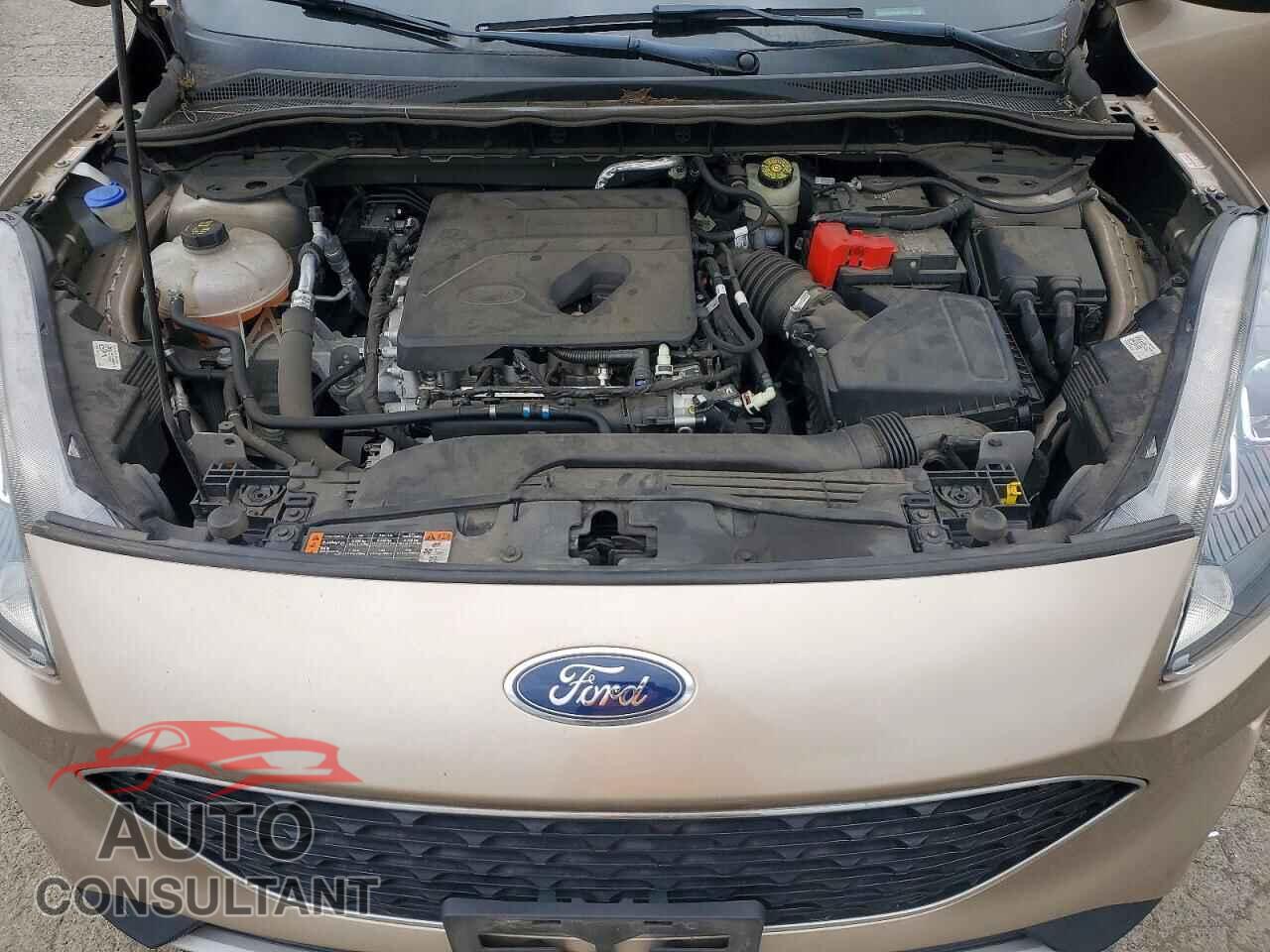 FORD ESCAPE 2020 - 1FMCU9H68LUA79845