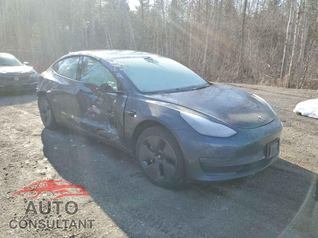 TESLA MODEL 3 2022 - 5YJ3E1EA1NF255125