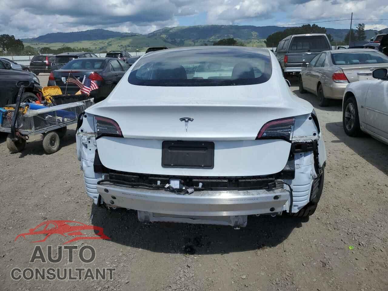 TESLA MODEL 3 2022 - 5YJ3E1EA8NF113466