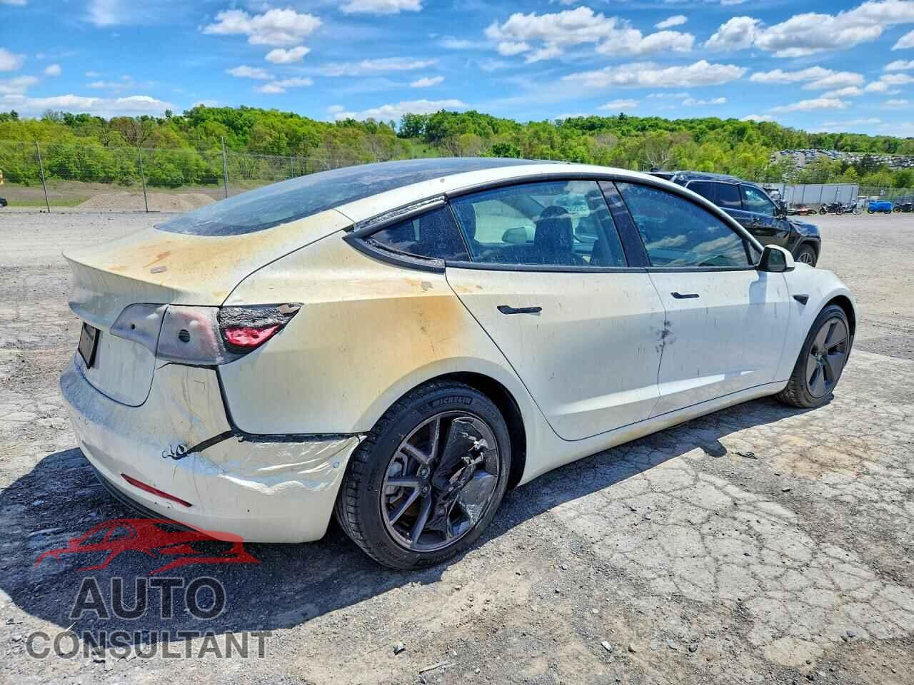 TESLA MODEL 3 2021 - 5YJ3E1EA3MF857894