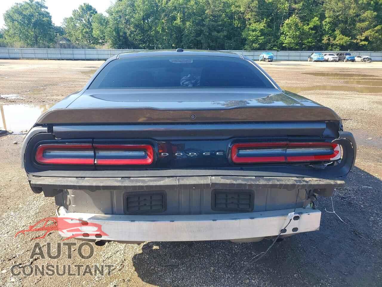 DODGE CHALLENGER 2019 - 2C3CDZAG9KH524767