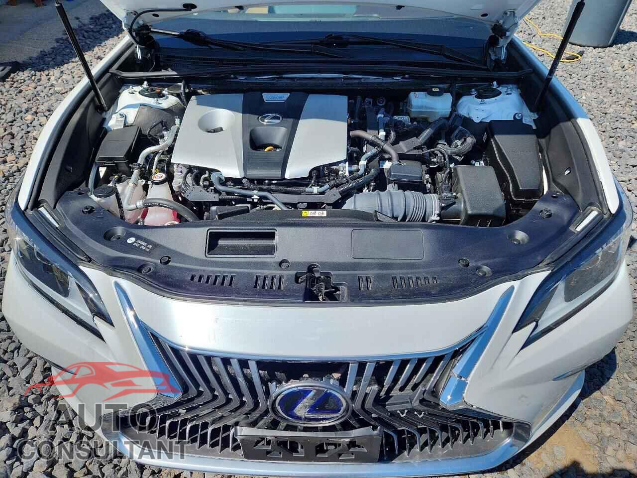 LEXUS ES300 2021 - 58ADA1C16MU007417