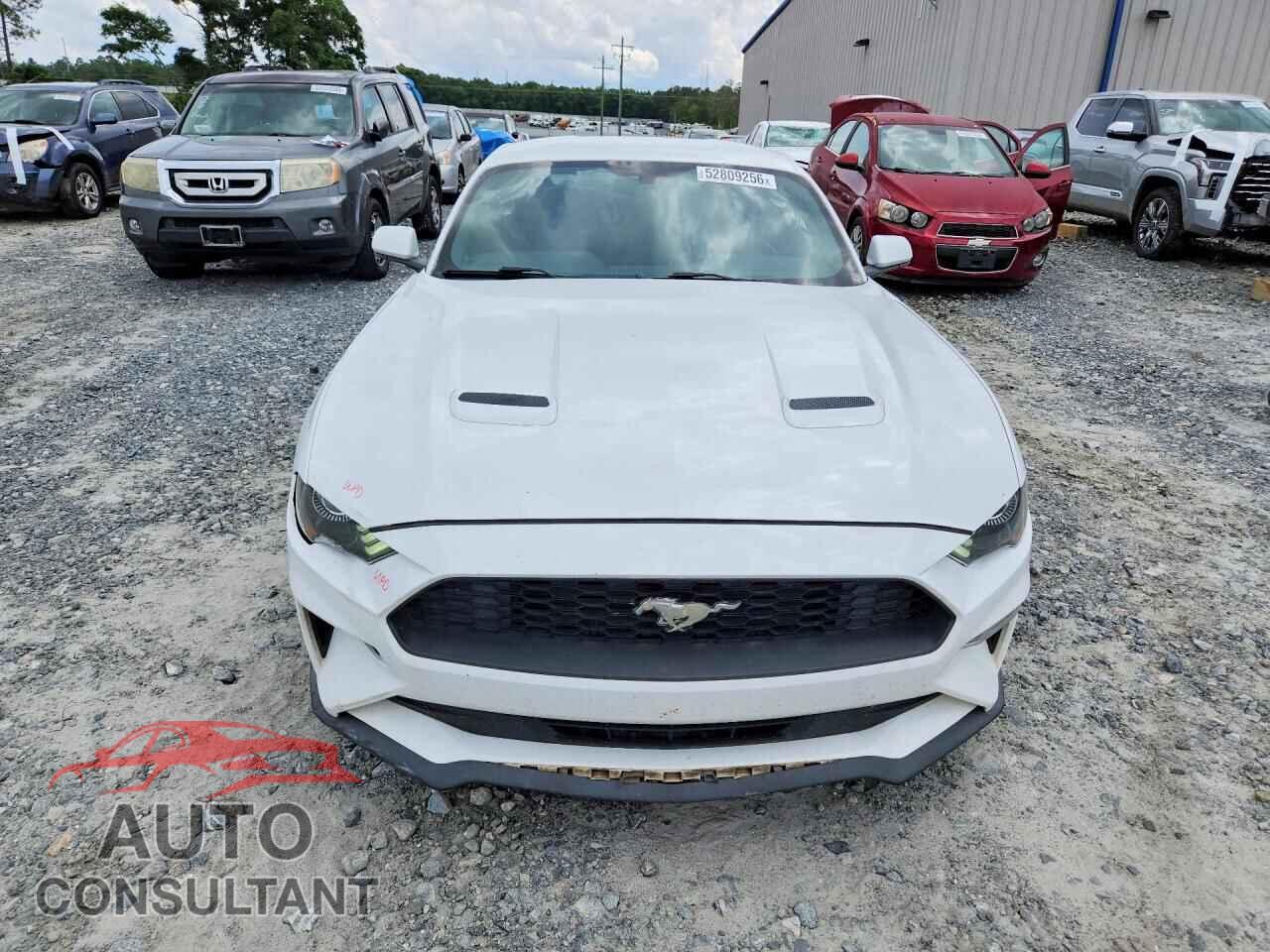 FORD MUSTANG 2019 - 1FA6P8TH5K5184532