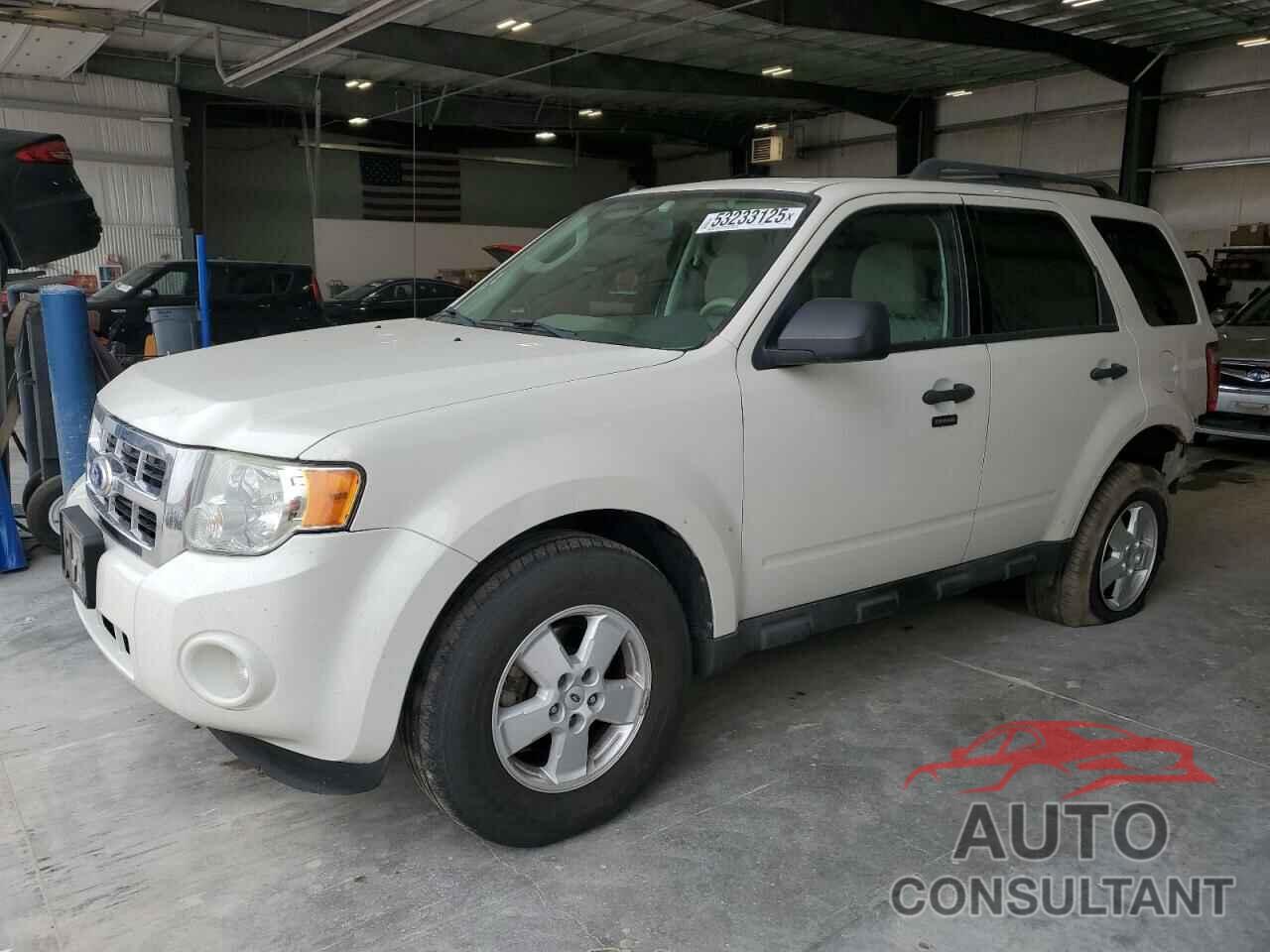 FORD ESCAPE 2010 - 1FMCU9DG8AKC66221