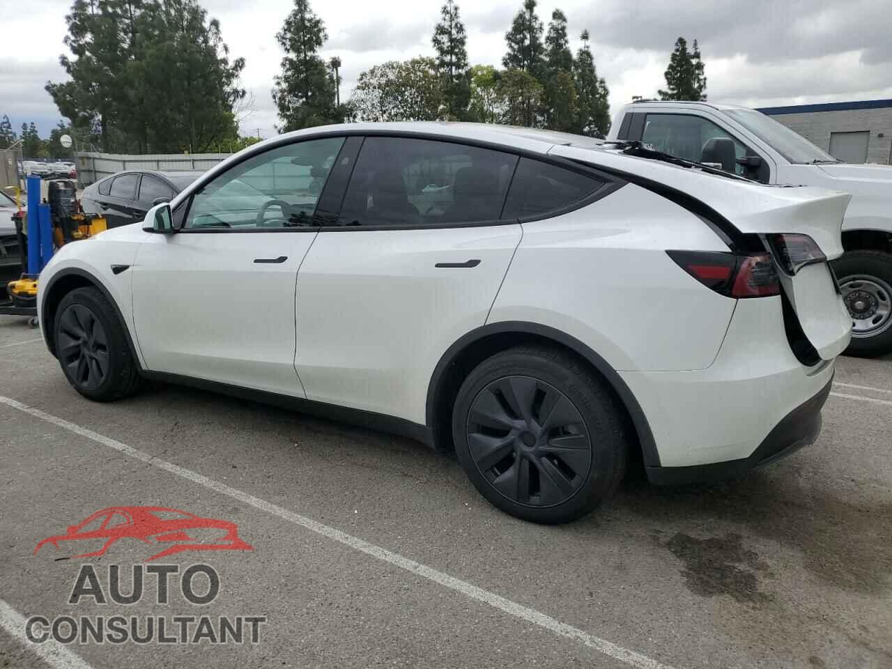TESLA MODEL Y 2024 - 7SAYGDED4RF118247