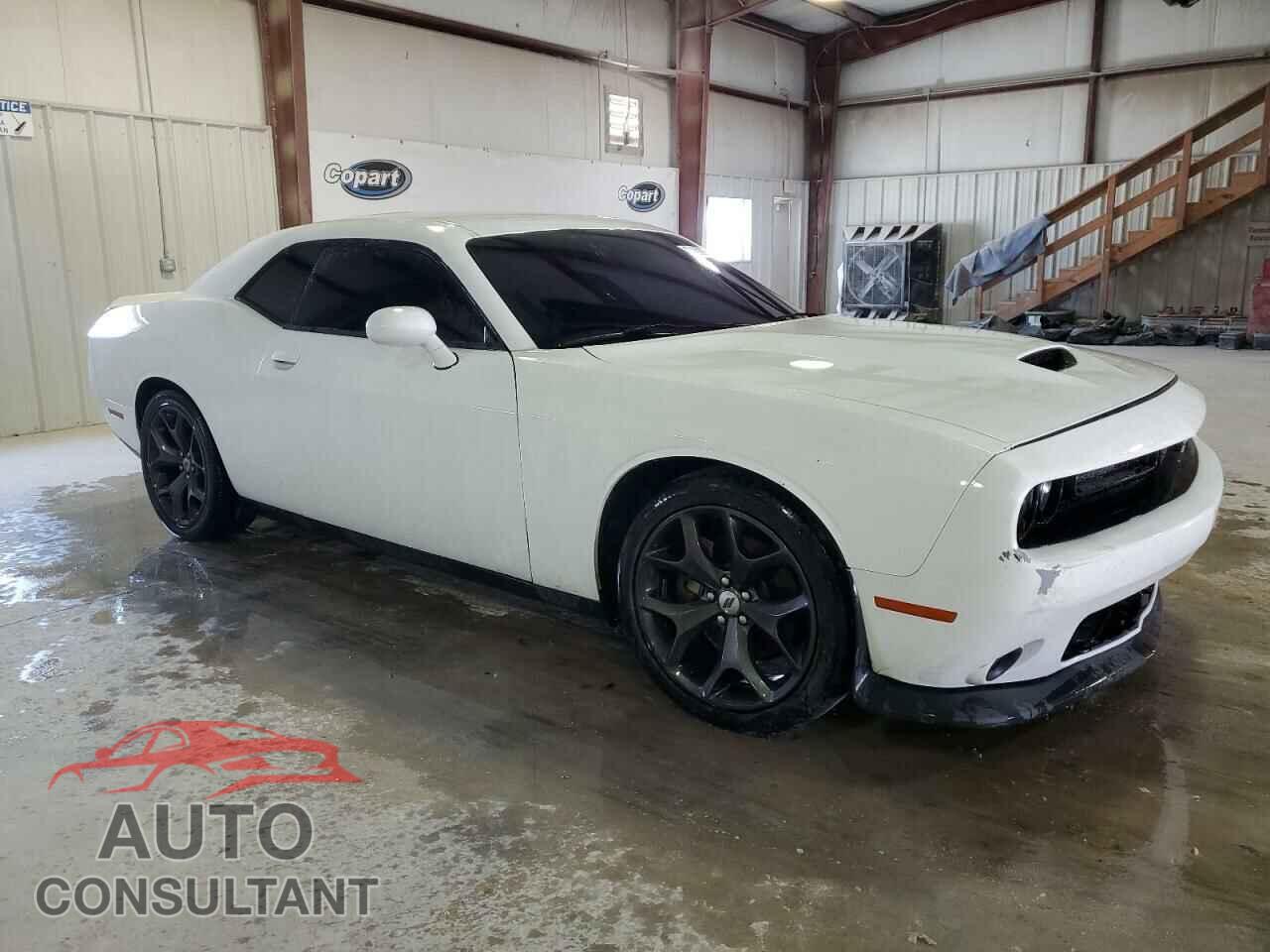 DODGE CHALLENGER 2019 - 2C3CDZBT3KH617098