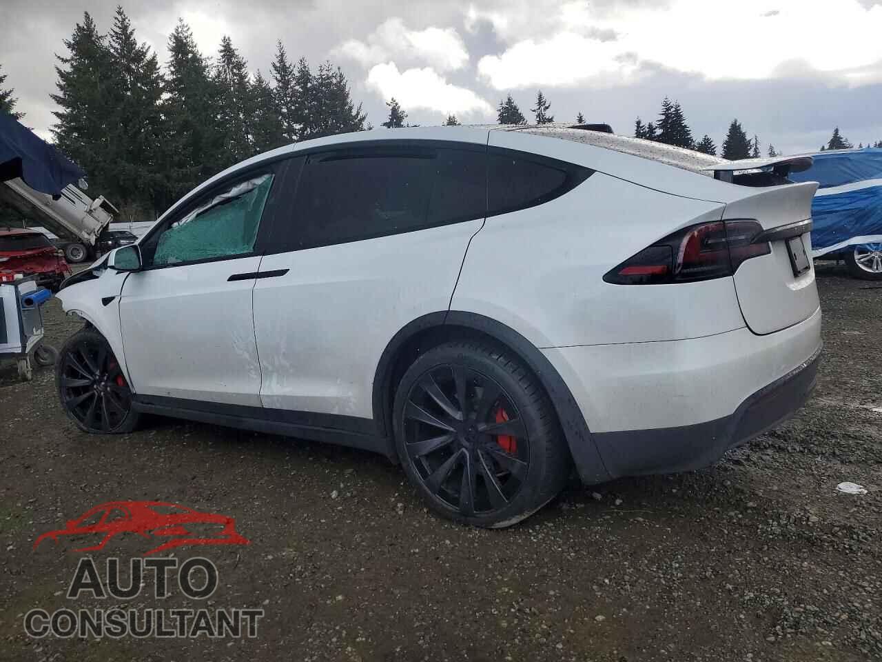 TESLA MODEL X 2024 - 7SAXCBE62RF453942