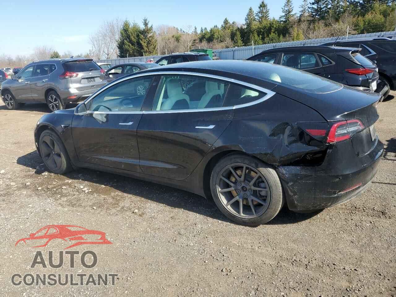 TESLA MODEL 3 2019 - 5YJ3E1EB6KF421305