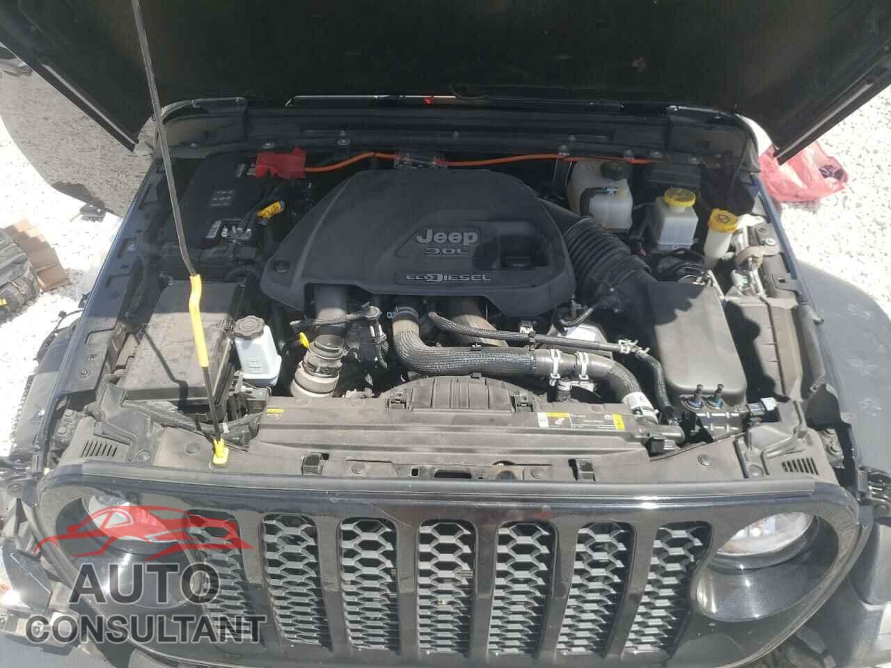 JEEP GLADIATOR 2021 - 1C6JJTAMXML596850