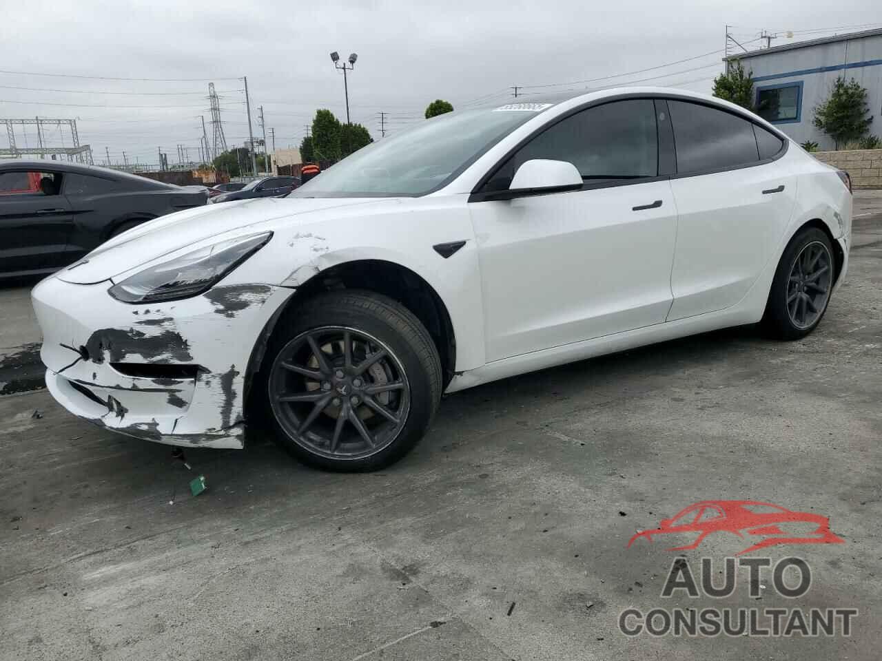 TESLA MODEL 3 2019 - 5YJ3E1EA7KF309944