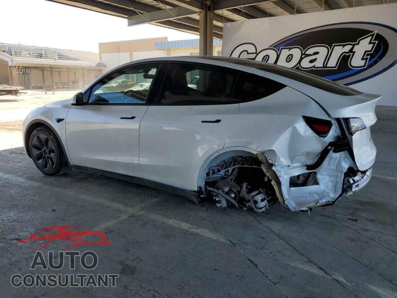 TESLA MODEL Y 2024 - 7SAYGDEEXRF122859