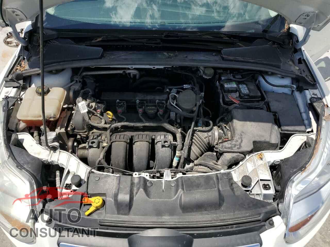 FORD FOCUS 2014 - 1FADP3E24EL177073