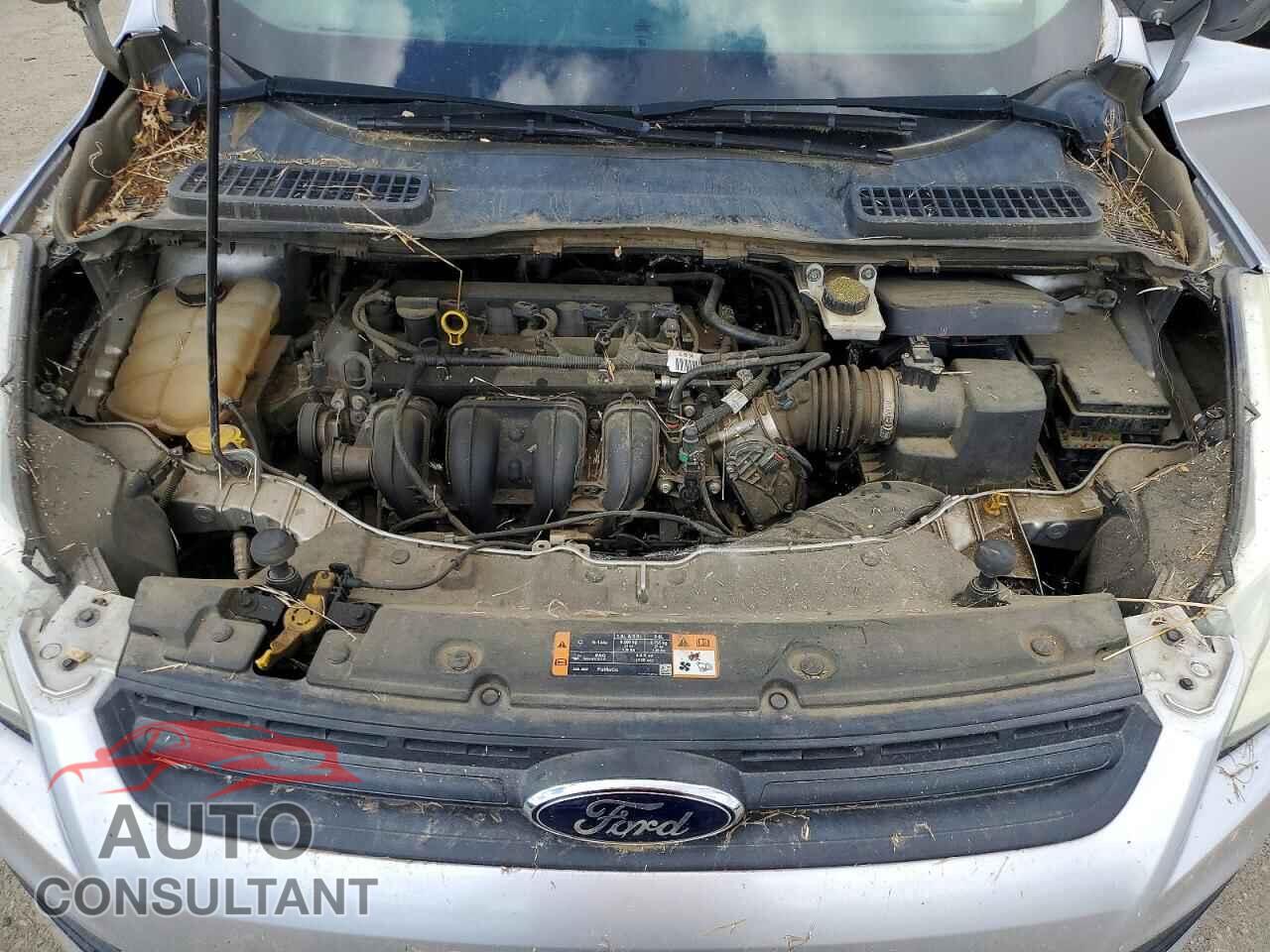 FORD ESCAPE 2014 - 1FMCU0F76EUD80656