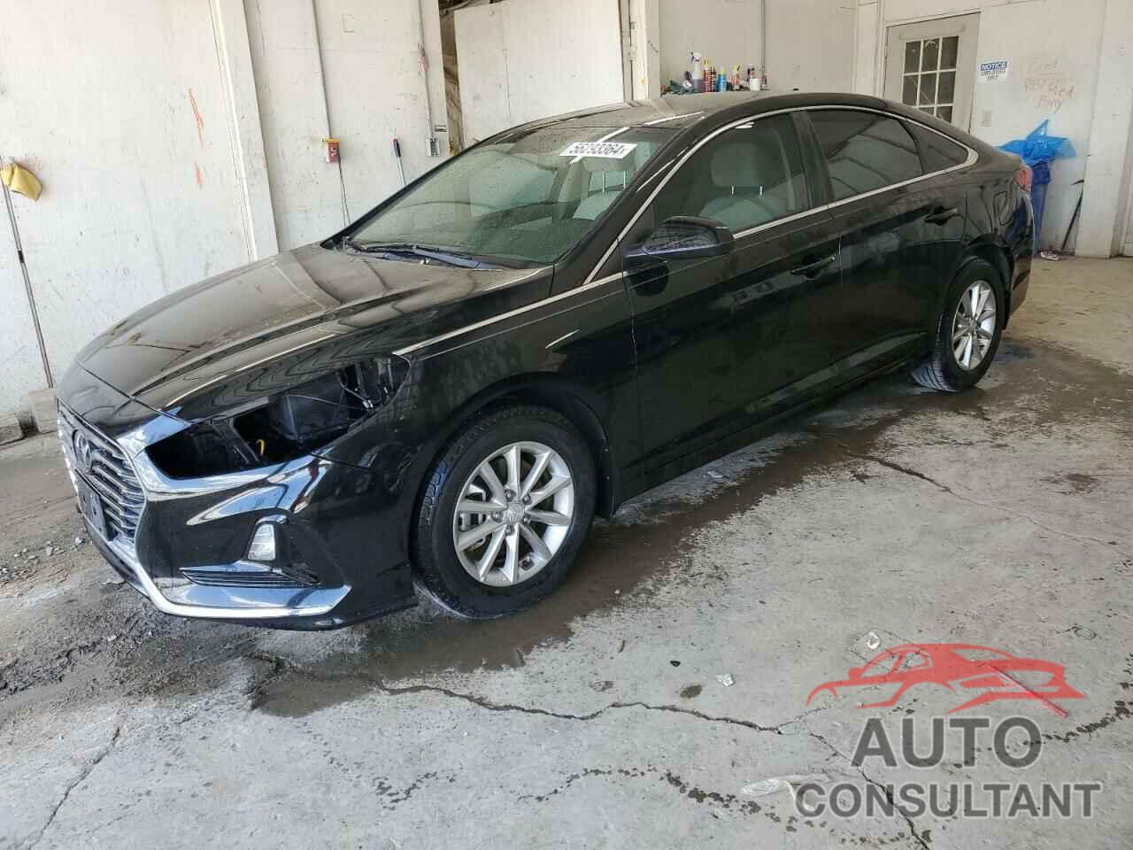 HYUNDAI SONATA 2019 - 5NPE24AF8KH807978