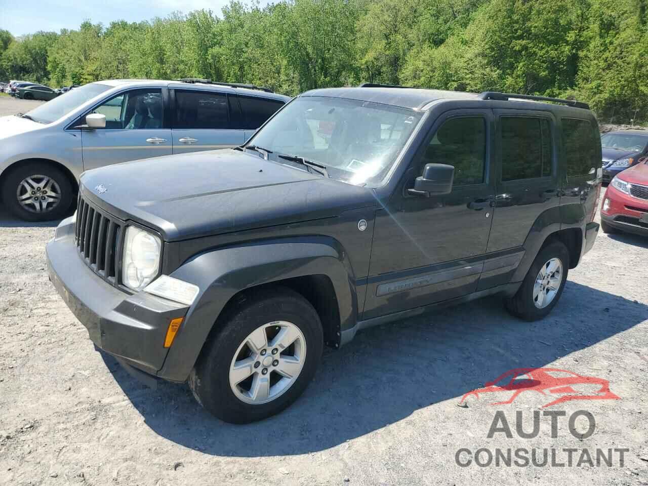 JEEP LIBERTY 2011 - 1J4PN2GK3BW518990